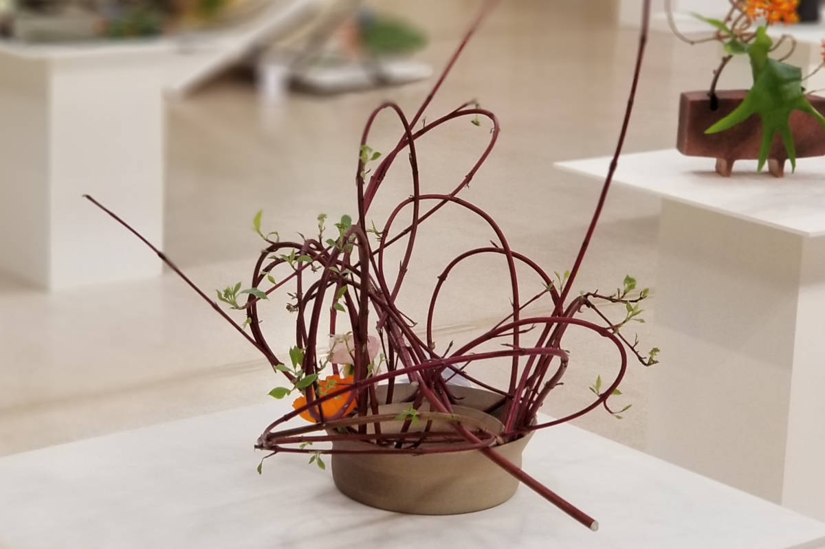 Double Walled Vessel 1 Ikebana 1