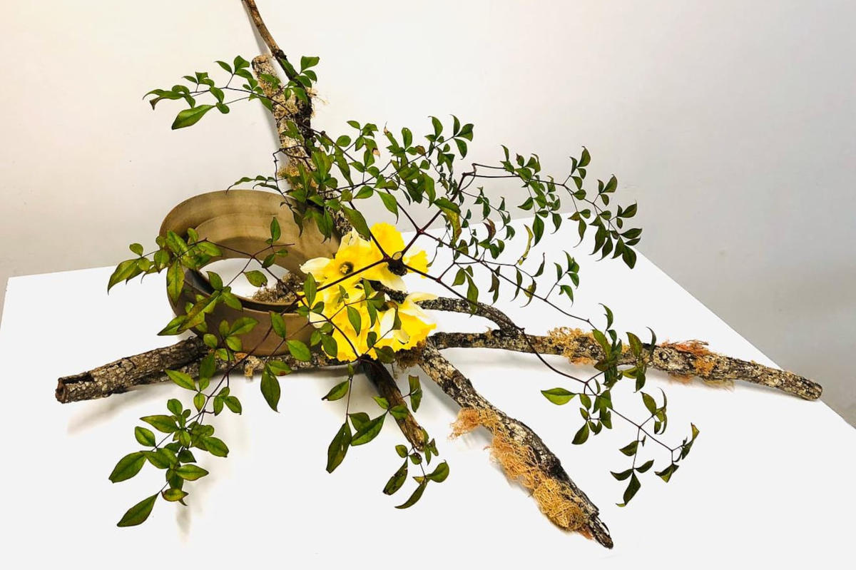 Double Walled Vessel 1 Ikebana