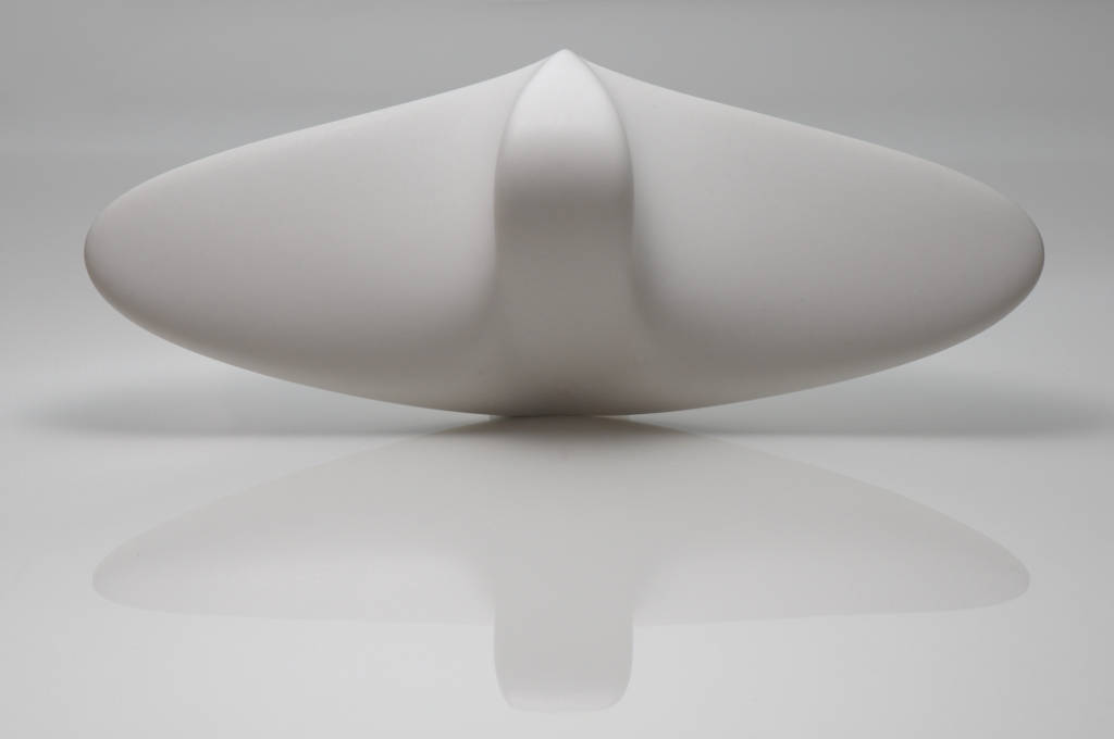Biomimesis: Generated Object 4