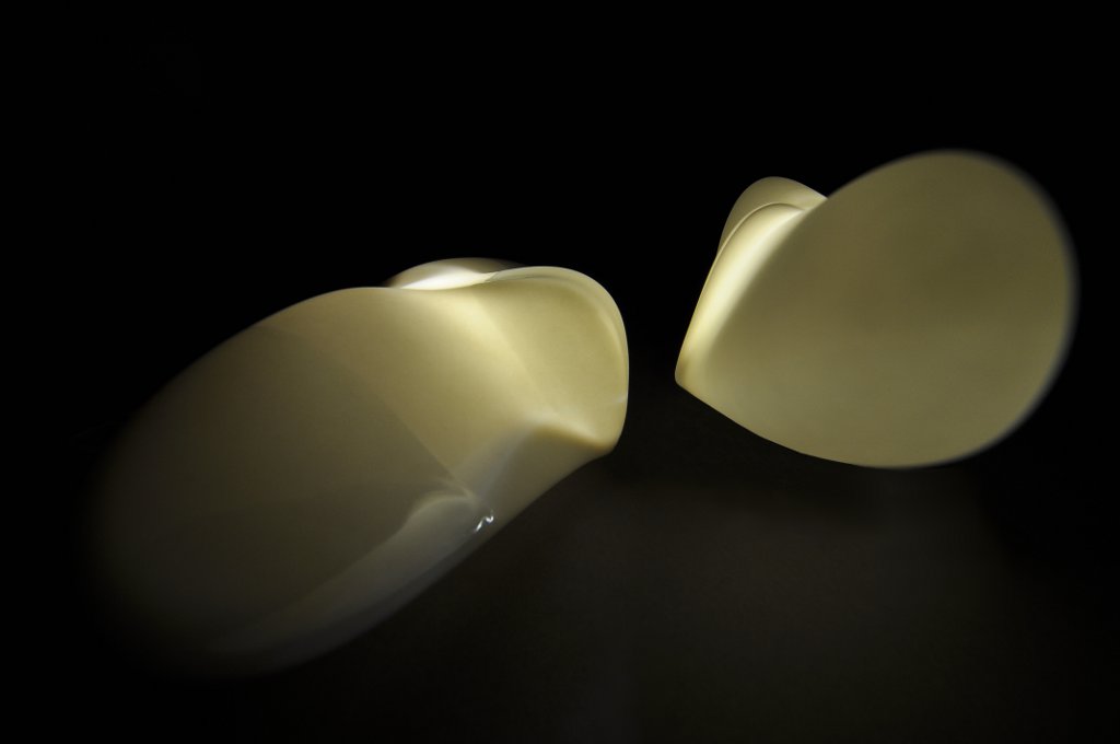 Biomimesis - Generated Objects 4 and 3