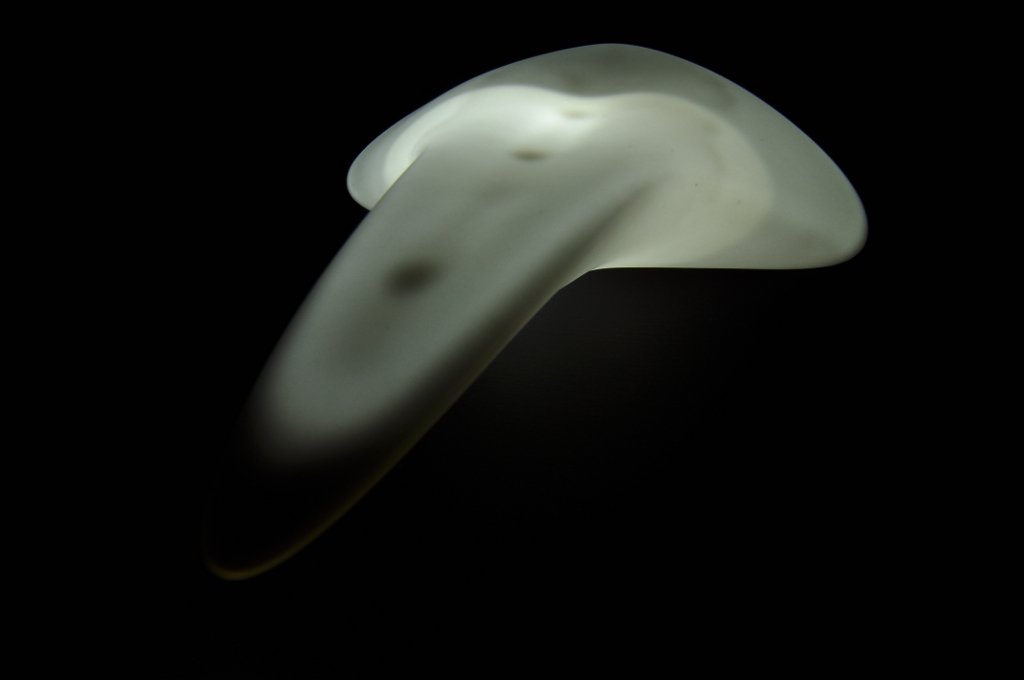 Biomimesis: Generated Object 1