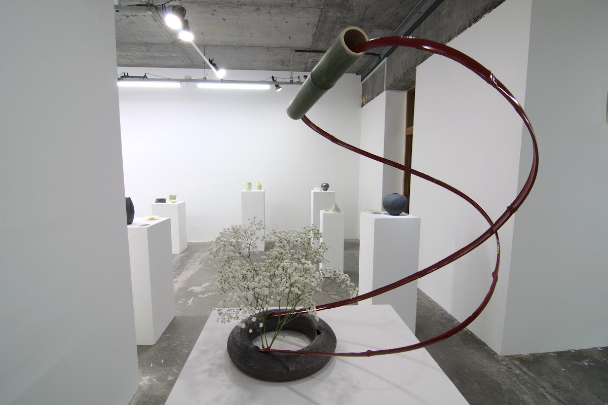 Torus 6 Ikebana