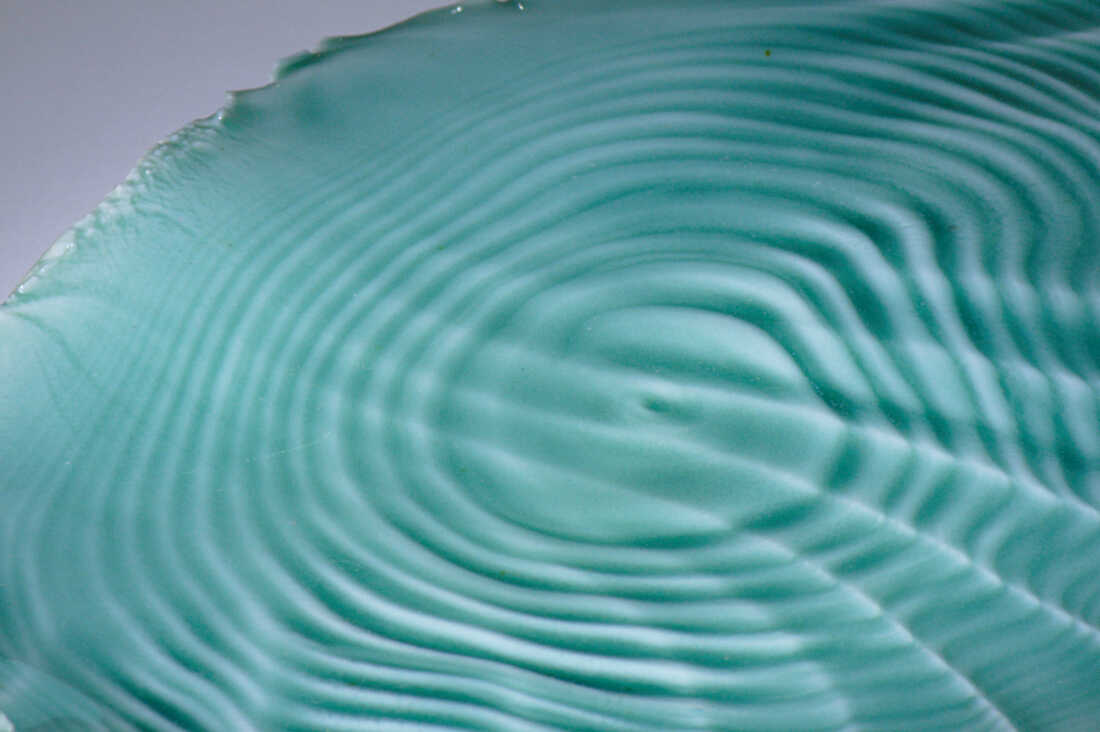 Seismic 2 detail