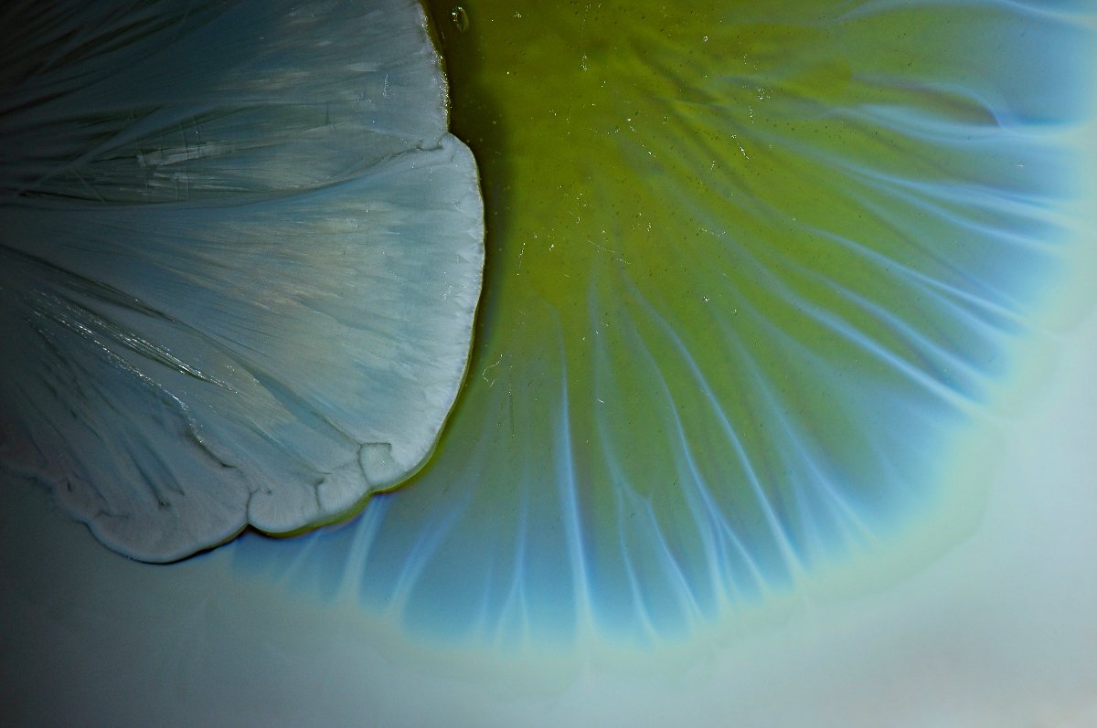Crystalline Glaze